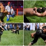 Kırkpınar Yağlı Güreşleri (Başpehlivanlık güreşleri) ne zaman, saat kaçta, hangi kanalda?